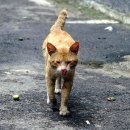 버스정류장 07-806 이미지