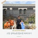 개구리목장 | 아이와 함께 다녀온 고창 상하목장 할로윈 축제 후기🎃