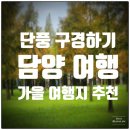 리틀프로방스(작은마을) | 가을에 여행하기 좋은 담양 당일치기 메타세쿼이아길 메타 프로방스