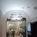 전곡-15 | 경기북부 연천 전곡선사박물관 아이와가볼만한곳
