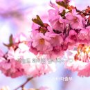 달리는커피 - 남양주시 의안로 121-10 | 달리는커피