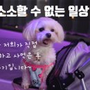 류길상피자 당감점 이미지