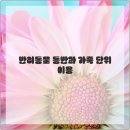 우리인태리어 이미지