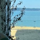 신진도드림 이미지