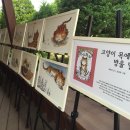 찐빵마을책사랑방 이미지