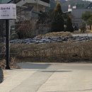 리베르떼펜션 | 강릉 펜션 추천] 가성비 좋고 청결도 너무 좋았던 경포호 인근 리베르떼 펜션 황금연휴 2박 내돈내산후기