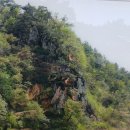 고란초 | 부소산성에서 백제의 역사를 알리기 위해 (후기)