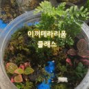 테라리움 - 파주시 방촌로 1184 | 테라리움