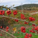 이승수농장 이미지