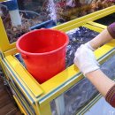 팔팔곰장어 이미지