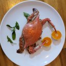 위미가 연 이미지