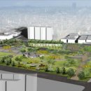 풍납백제문화공원 이미지