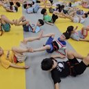 즐거운베스트태권도 이미지