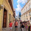 다운타운 이미지