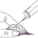 정겨운동물병원 이미지