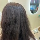 유니살롱 - 포항시 남구 | 유니살롱
