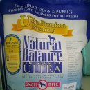 이레네 강아지 이미지