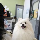 정원동물병원 이미지