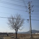 더안성공인중개사사무소 이미지