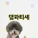 댕파티셰