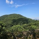 신선대산복로 네이버블로그