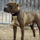 오공이 농장 이미지