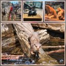 지정32 | [내돈내산] 32개월 아기랑 아쿠아플라넷 일산 2탄 (더 정글·파충류 관람 후기)