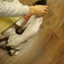 사랑의 염원 이미지