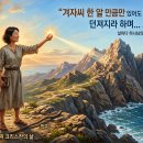 씨.씨.알(주) 티스토리
