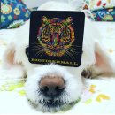 팅커벨PC 이미지