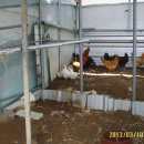 나들이농장 이미지