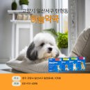 하늘동물약국 이미지