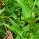 초막골생태공원 이미지