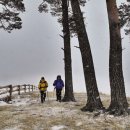 자명목장 이미지