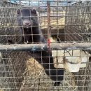 알마니농장 이미지