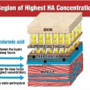 연세으뜸의원 이미지