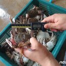 남일수산