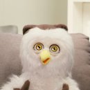 또또샵