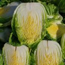 산골농부네 이미지