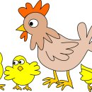 장성닭집 이미지