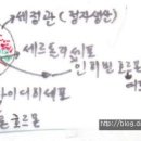 지극정성여포