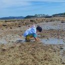㈜마차체험마을 | 경기도 가족 여행 추천 | 마차 타고, 바지락 캐고, 서해 노을까지! 화성 백미리마을 🌊