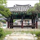 영광 침류정 이미지