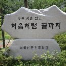 신도초등학교 이미지
