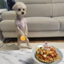 바르개 맛있개 이미지