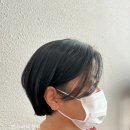 안성미장원 네이버블로그