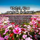 PICTURE&amp;TEXT_20261018_평안으로 함께 아버지께 나아가라!_엡 2장 17-18절_오순절 후 스물한 번째 주일 묵상_밀양시 이미지