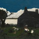 목화(1차) 이미지