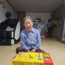 나산면사무소 이미지