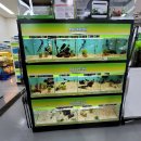 농협본점 이미지